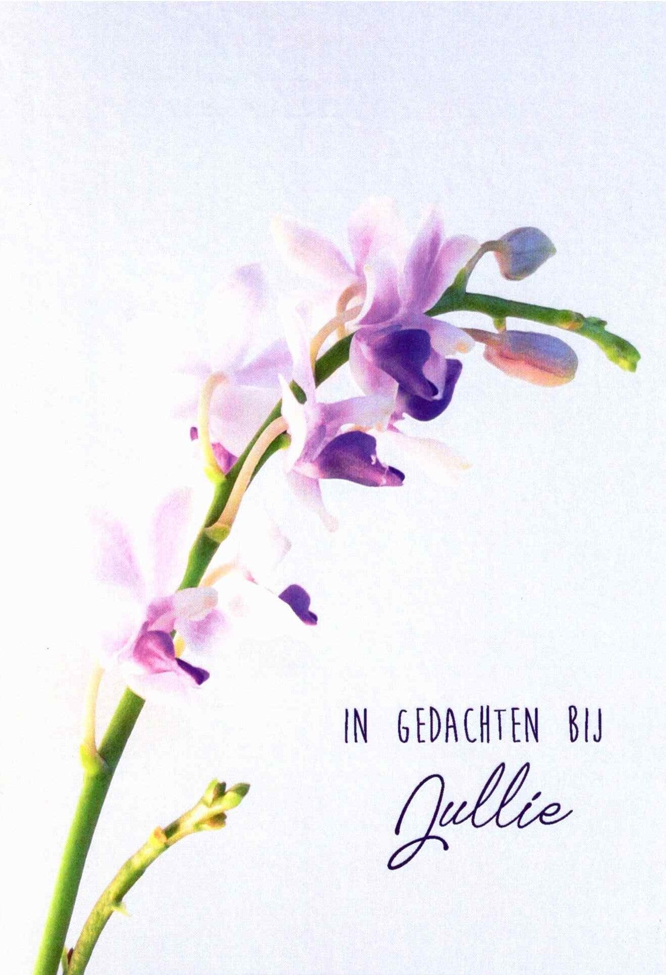 In gedachten bij jullie (R 8539)