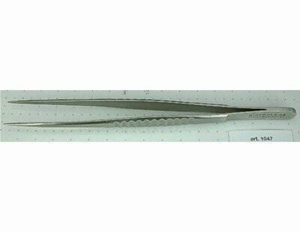 Universal Forceps sharp - 16 cm (1047)