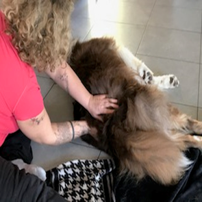 Pako - massage du sacrum