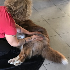Pako - massage musculaire