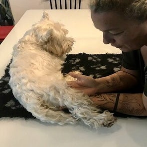 Filou - étirement de la patte postérieure
