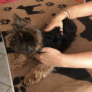 Rustyne - premier toucher : prise de contact