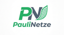 PauliNetze