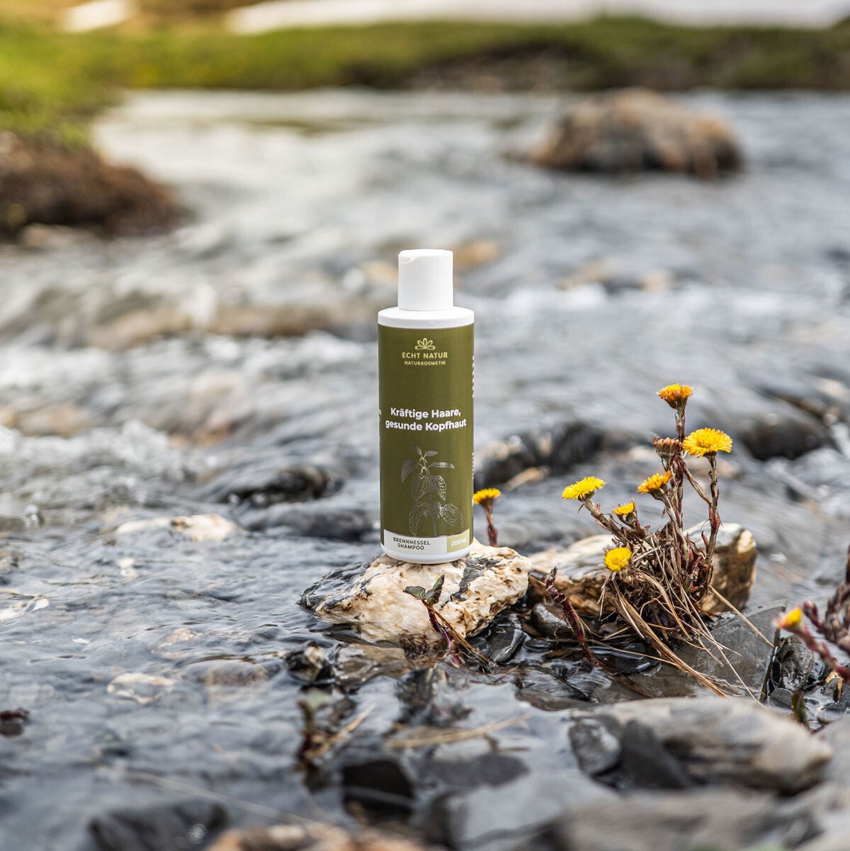 Brennnessel-Shampoo