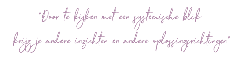 Door te kijken met een systemische blik krijg je andere inzichten en andere oplossingsrichtingen