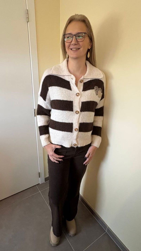 Gebreide gestreepte gilet (bruin/wit)