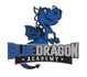 Blue Dragon Academy Team
