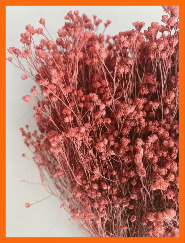 Broom Bloom roze gedroogde bloemen