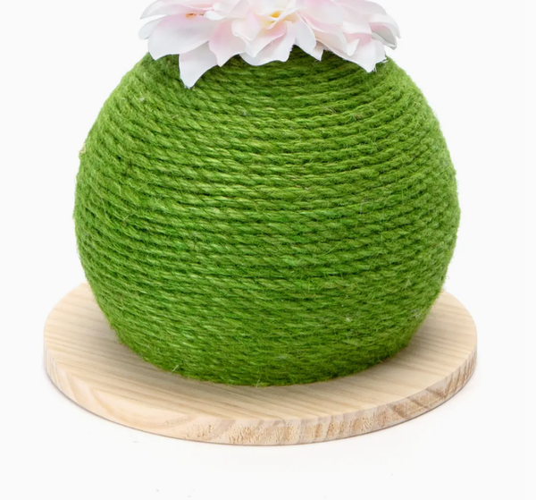 Kattenspeelgoed - Krabbol - Cactus - Groen - 23 x 23 cm