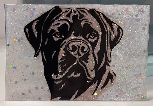 bordje met burste van hond