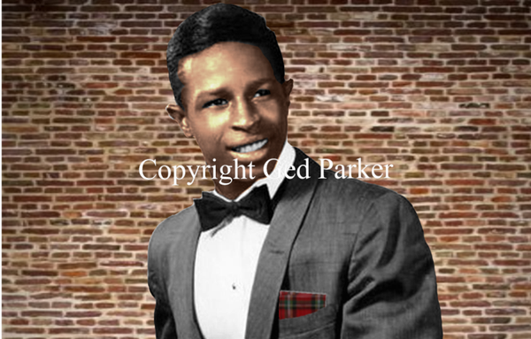 Garnet Mimms - Limited Edition Print #/100