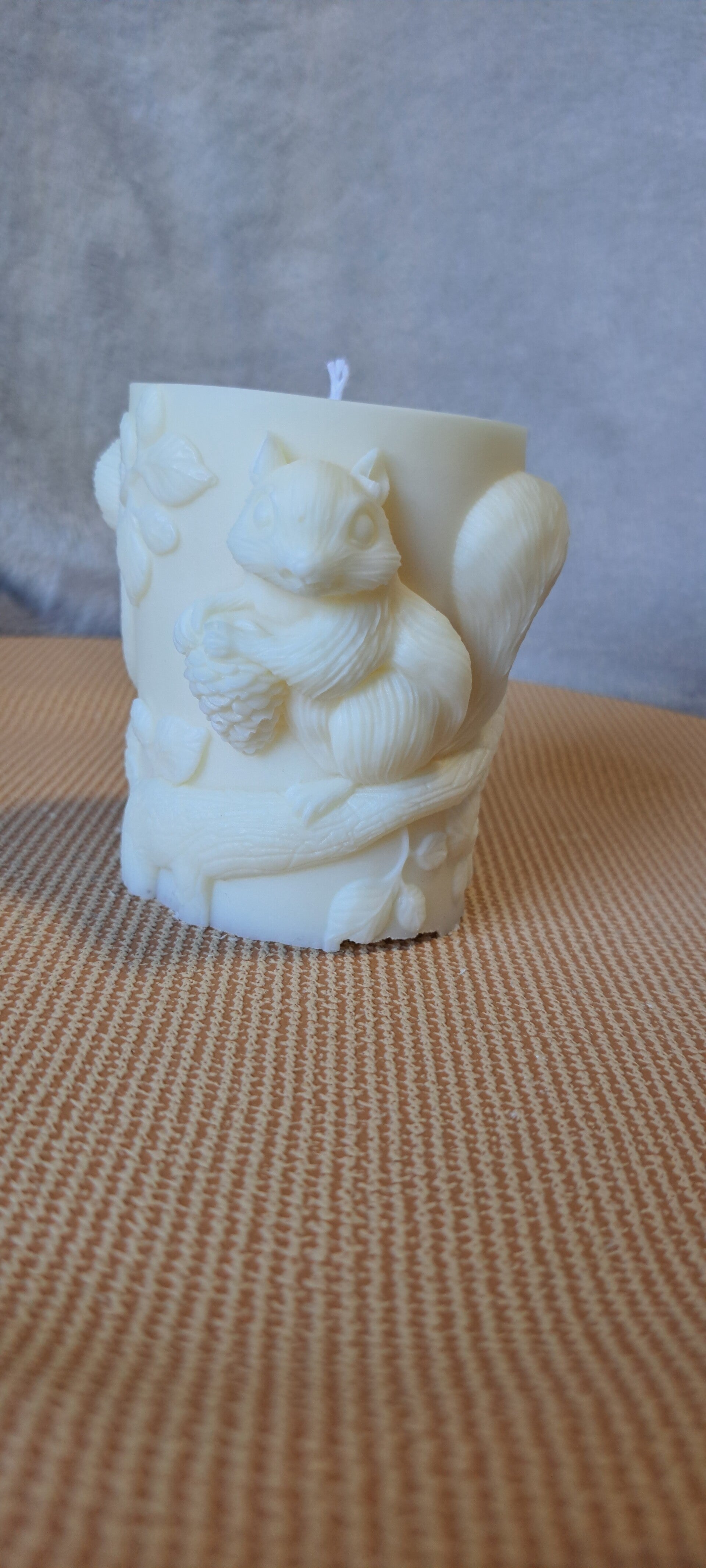 Eichhörnchen Außen