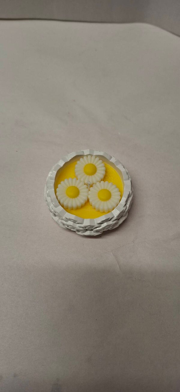 Rundverziert Gänseblümchen