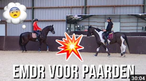 emdr voor paarden