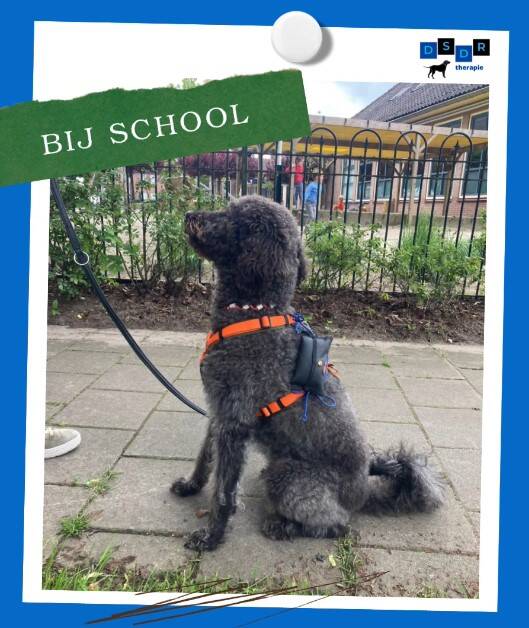 Guusje bang voor geluiden 