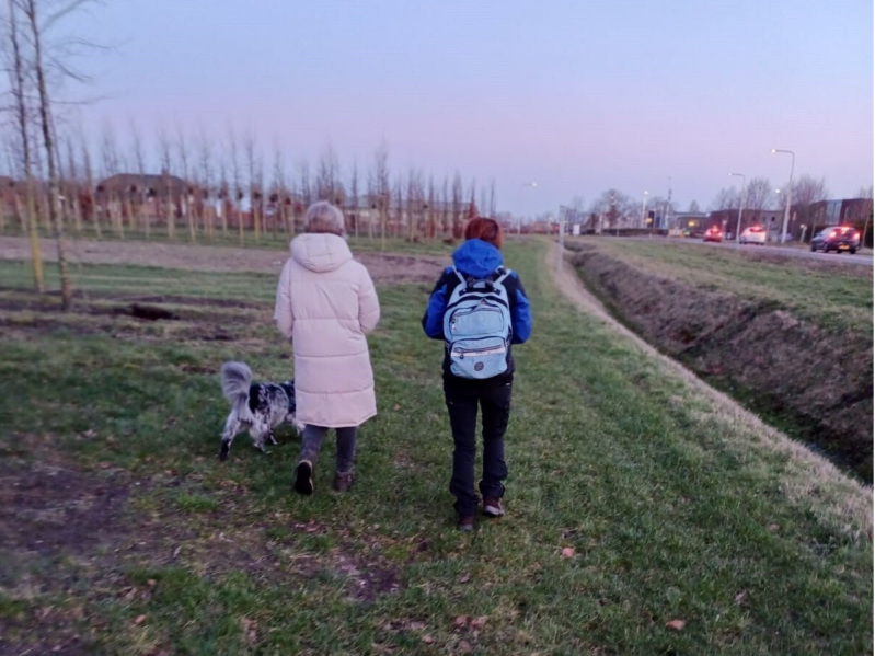 Naast de weg lopen
