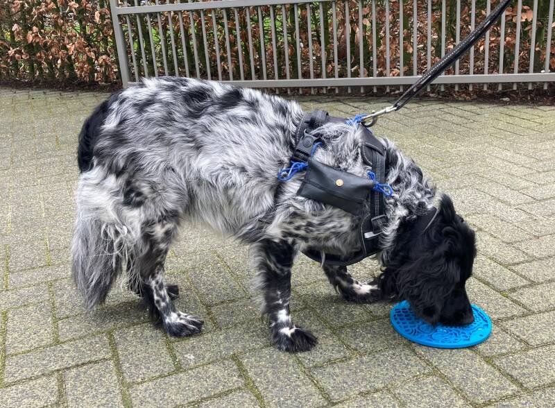 Likmat, ontspanning bij honden