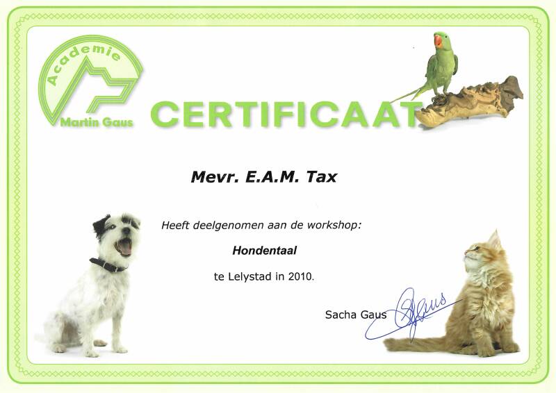 Martin Gaus hondentaal lichaamstaal