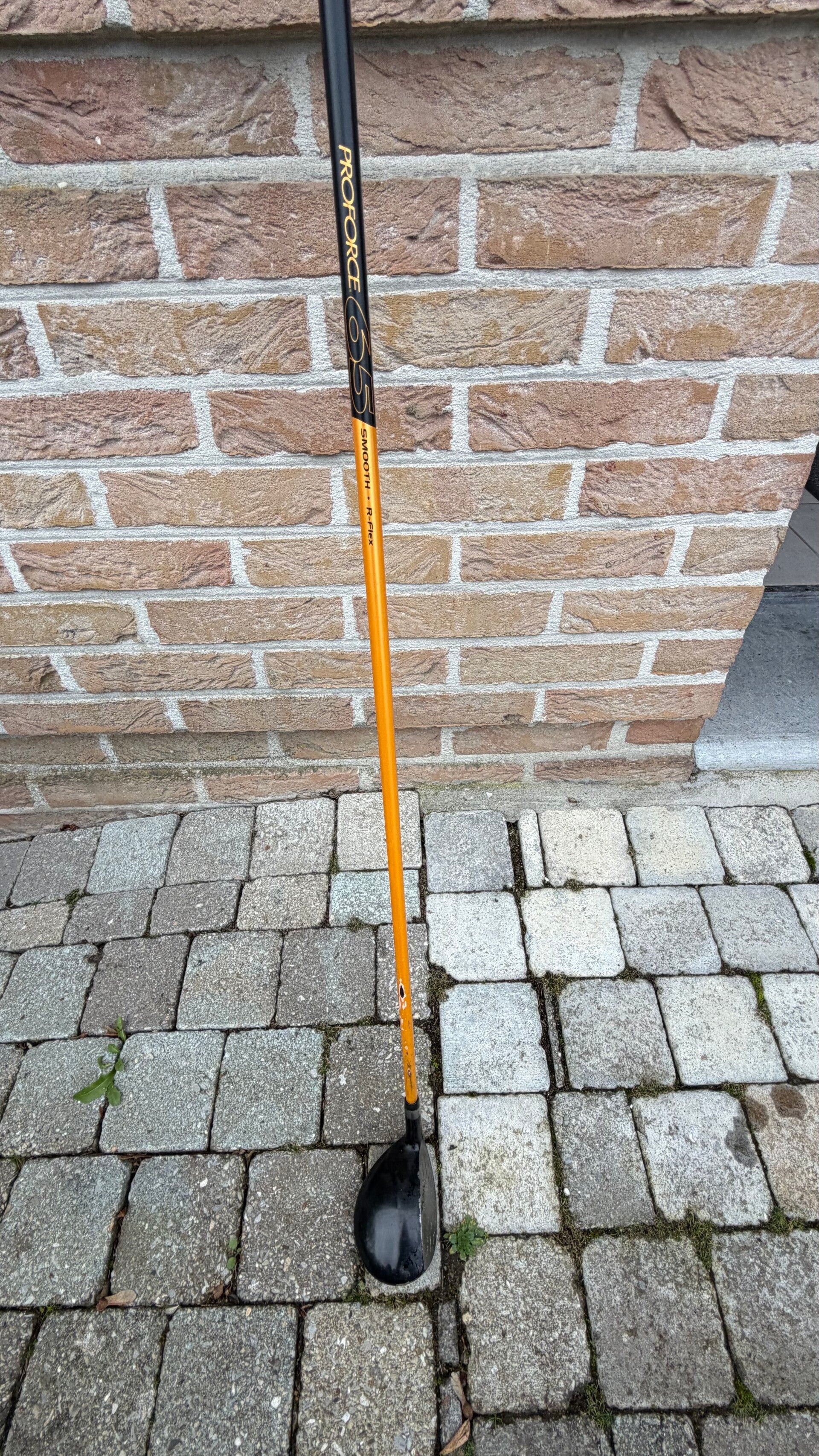 MD Hybride