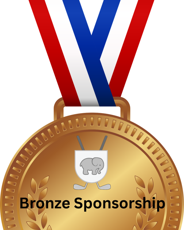 Bronze Sponsorship
