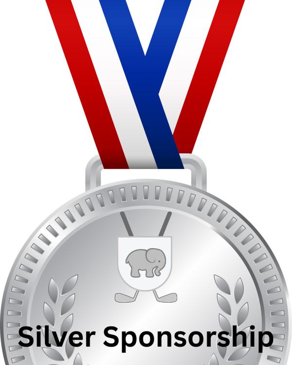 Silver Sponsorship