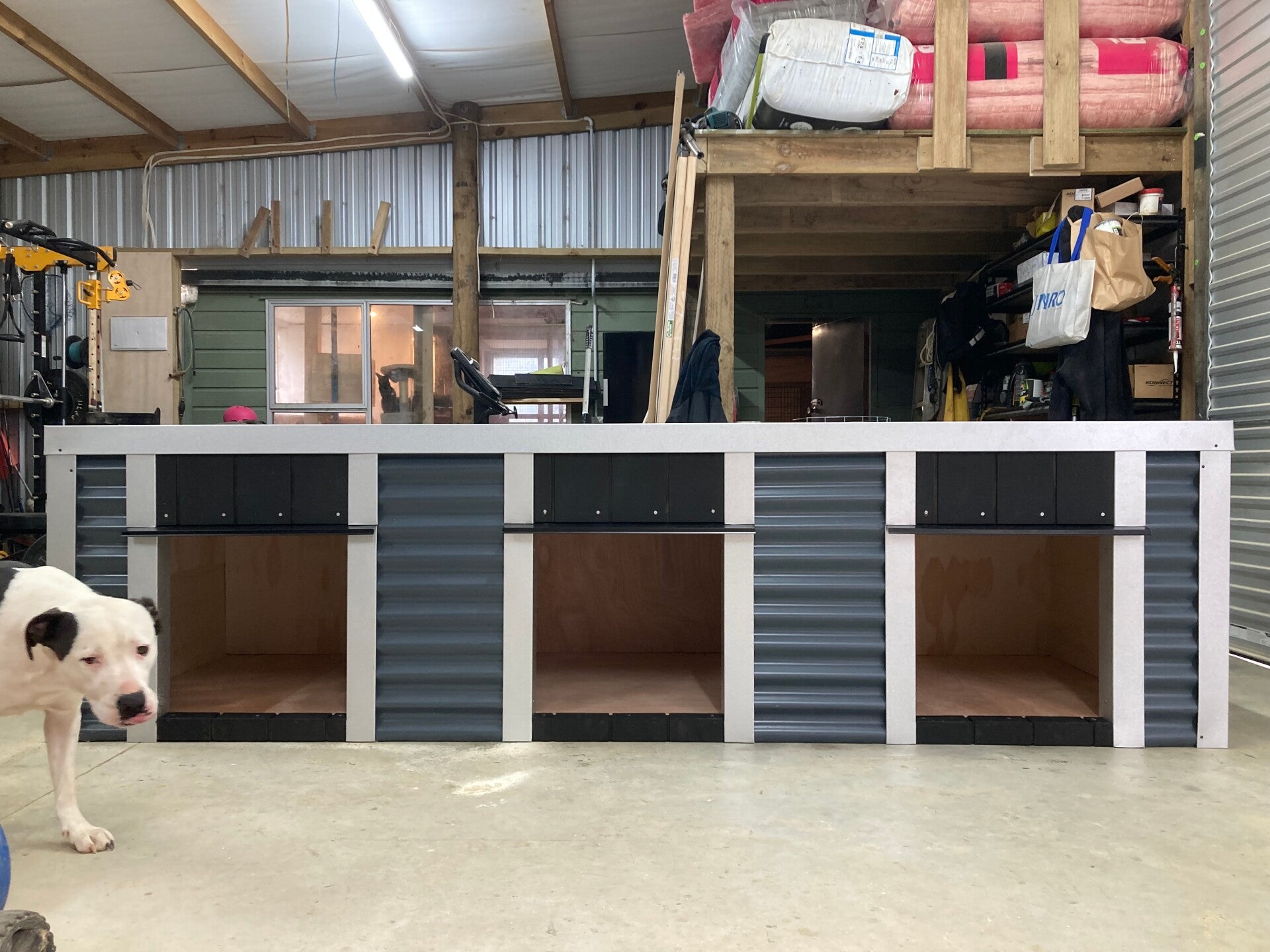 Premium 3 bay kennel