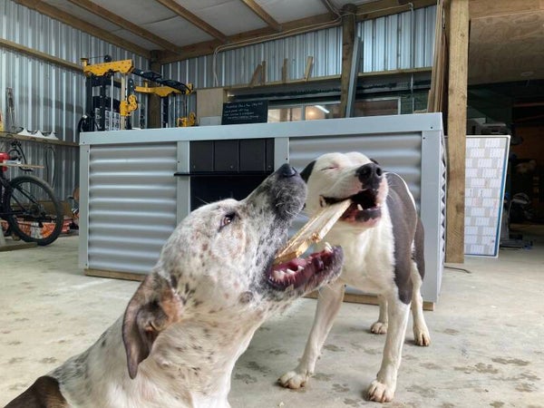 XXL classic kennel