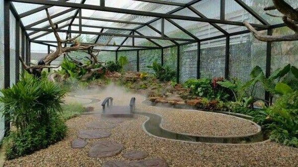 Aviary