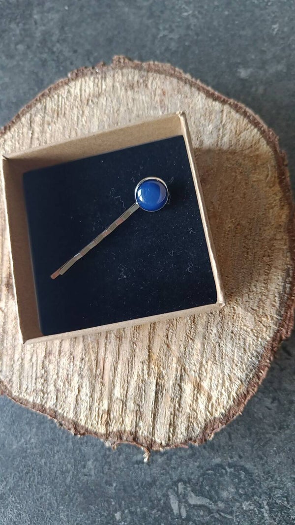 Haarspeldjes meisjes ( blauw)