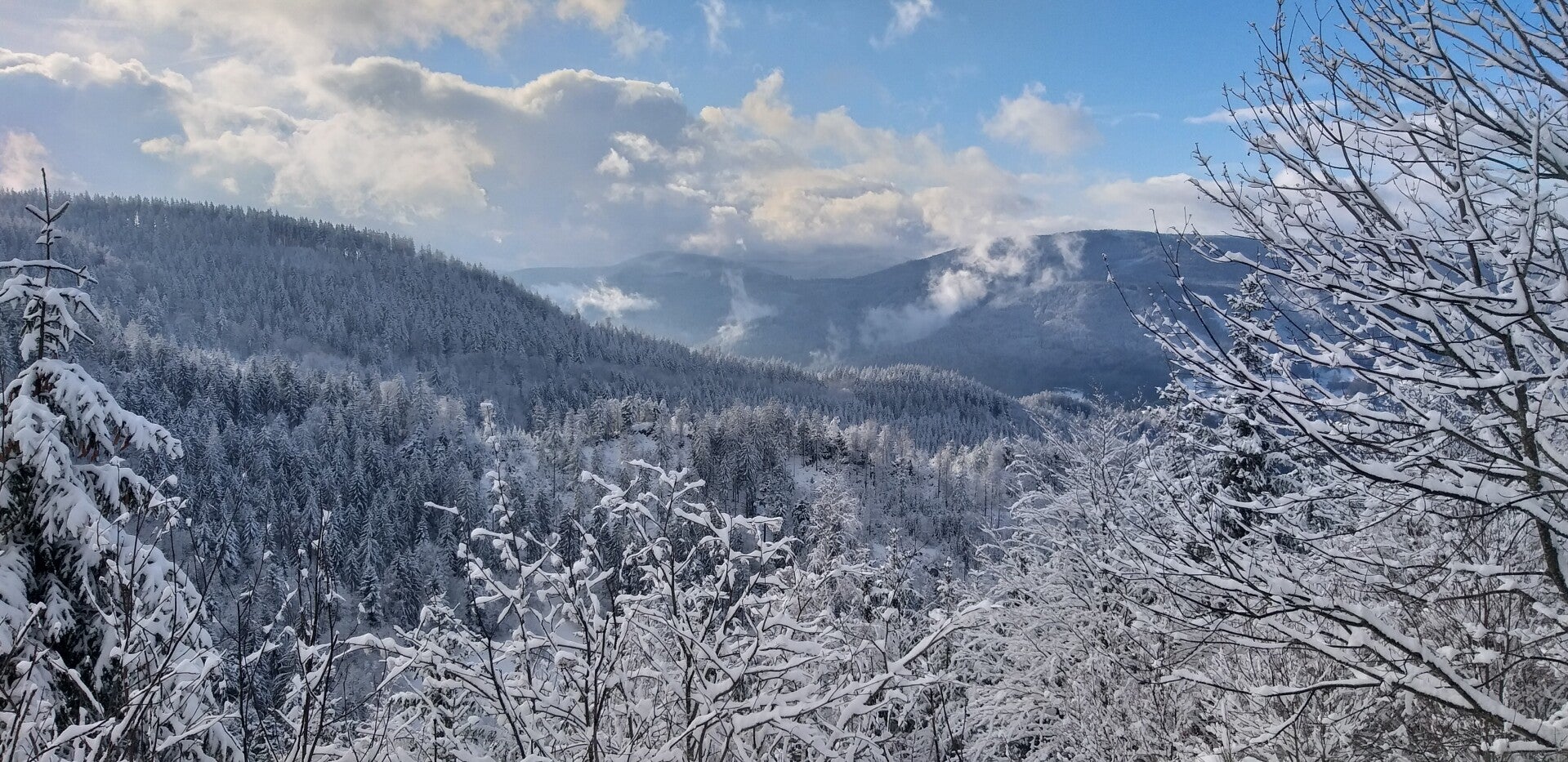Holzmasken, Kuppelsteiner Hexen, Tradition, Kurzurlaub,  Fastnacht, Umzug, Event