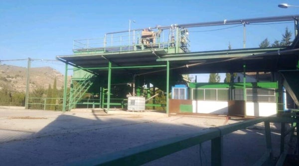 Factory Olive Oil in Cehegín  (Murcia)