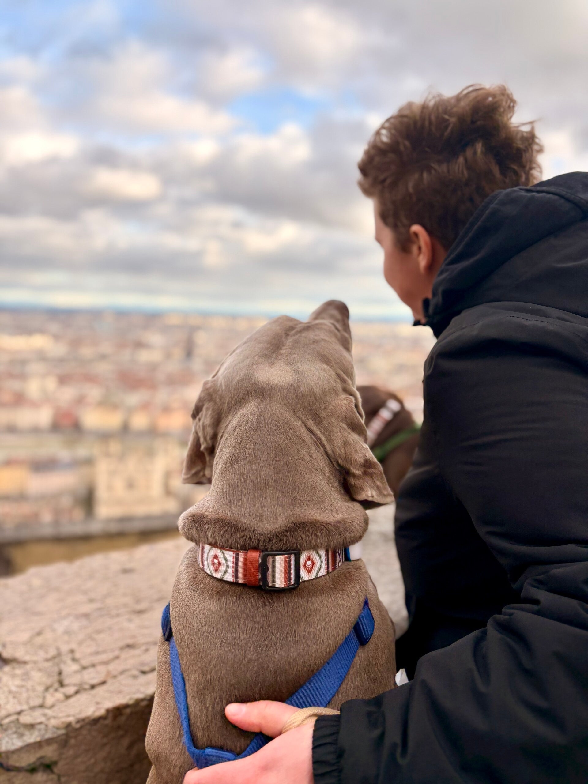 cattedrale di Notre-Dame de Fourvière 2