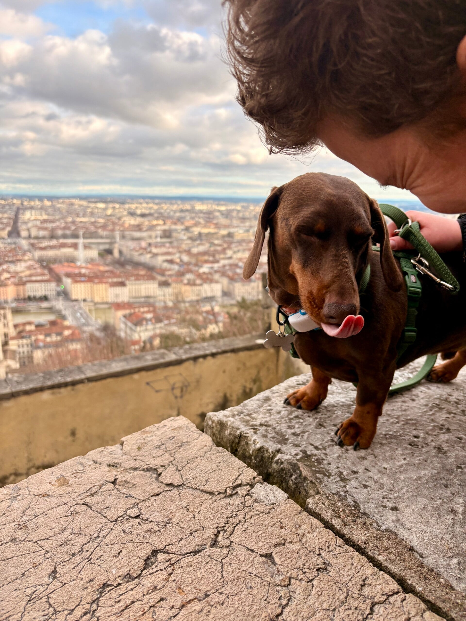 cattedrale di Notre-Dame de Fourvière 4