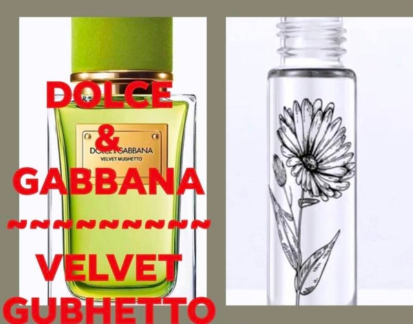 DOLCE & GABBANA VELVET GUBHETTO