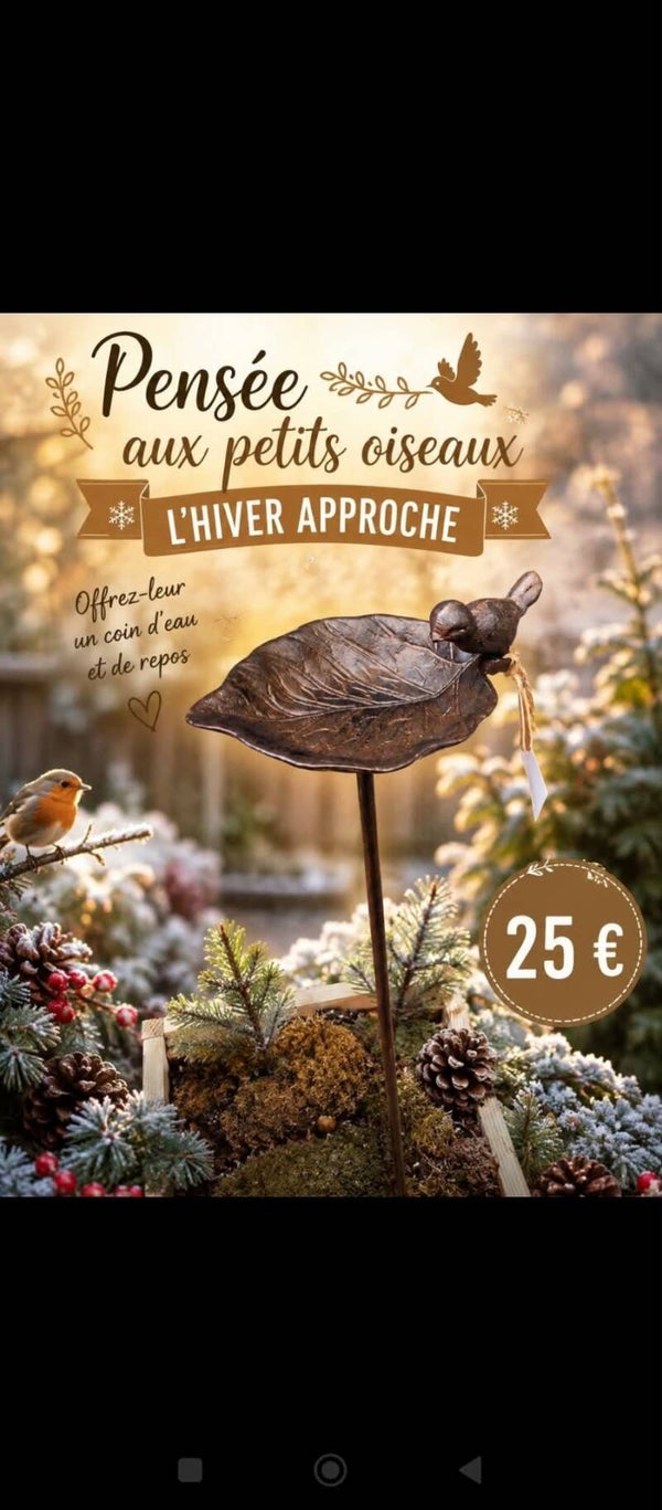 bain oiseau