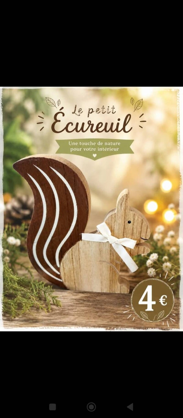 écureuil bois