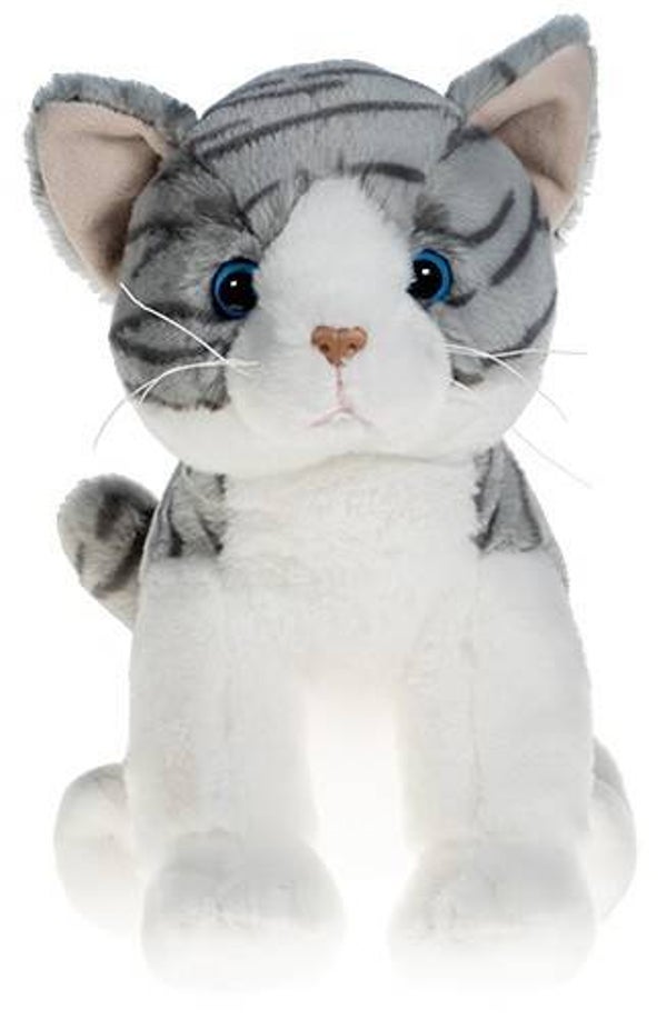 "Tabby" de kat
