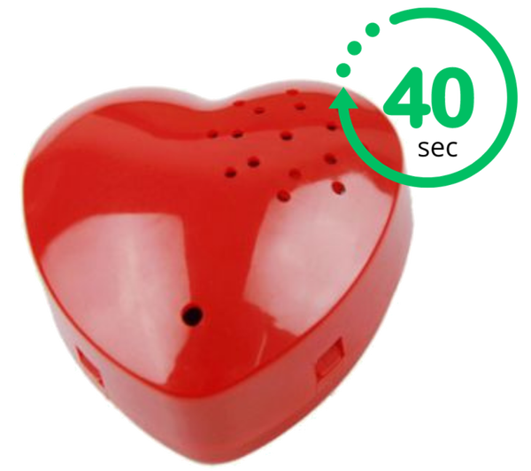 Neem je eigen geluid of boodschap op (40 sec)