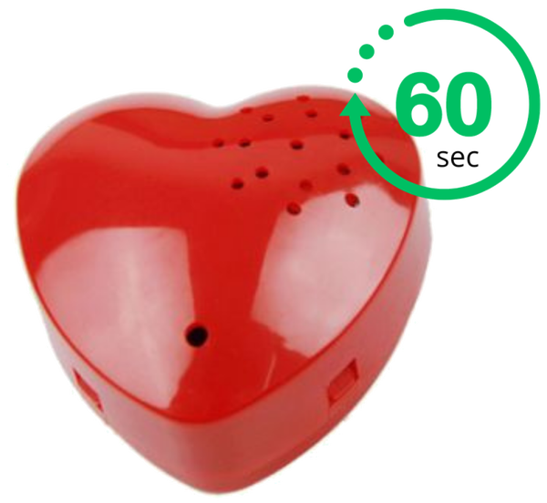 Neem je eigen geluid of boodschap op (60 sec)