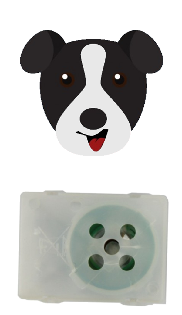 Geluid blaffende hond