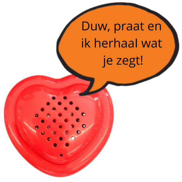 Ik-praat-je-na Module