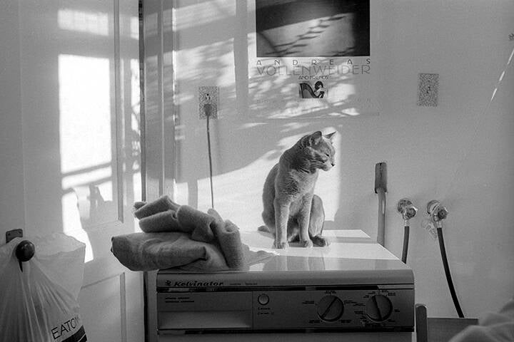 Black & white 35 mm negatives.