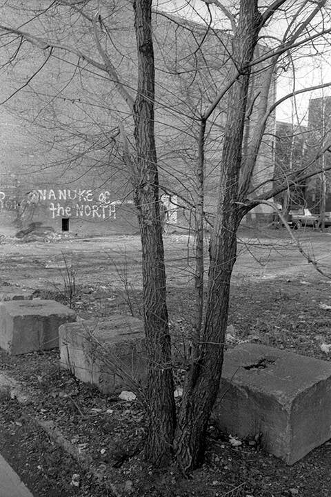 Black & white 35 mm negatives.