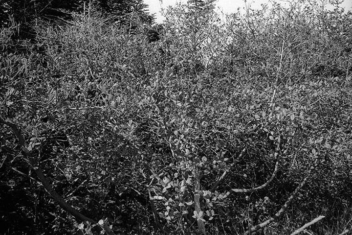 ENTERING NOVA SCOTIA, CANADA.