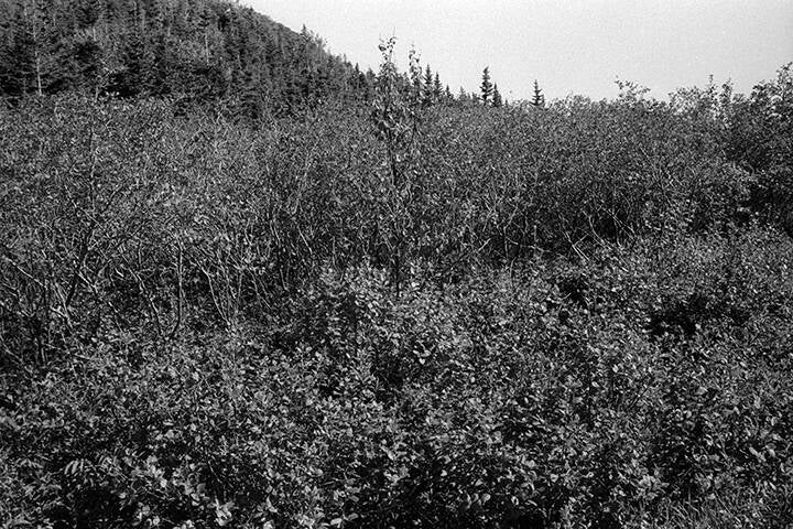 ENTERING NOVA SCOTIA, CANADA.