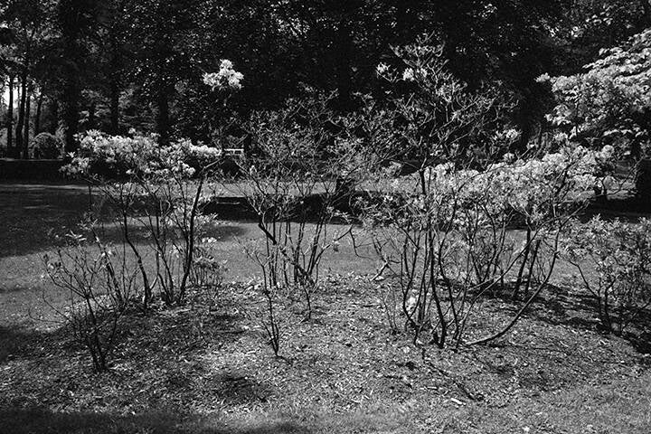 HALIFAX , NOVA SCOTIA, CANADA. Black & white 35 mm negatives.