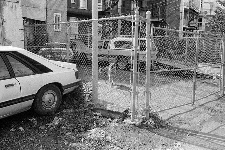 EVERYTHING IS A PICTURE, HOCHELAGA