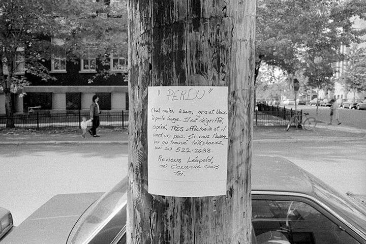 EVERYTHING IS A PICTURE, HOCHELAGA