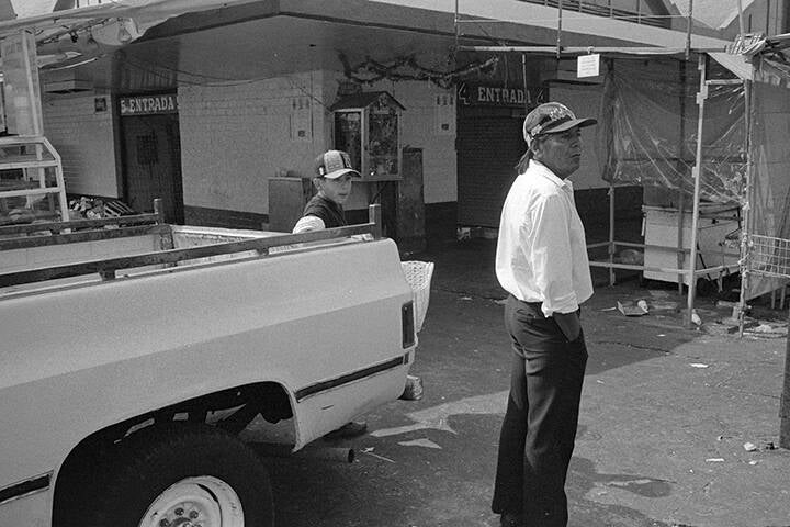 LES PIGEONS DU ZÒCALO