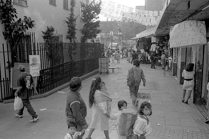 LES PIGEONS DU ZÒCALO